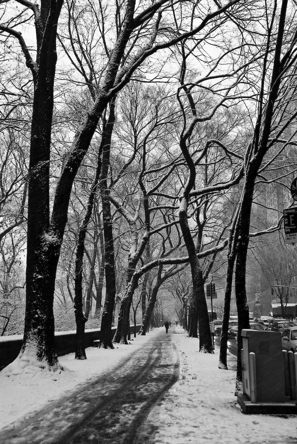 Read more about the article From Photography to IT, to Both